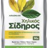 Super Green Χηλικός Σίδηρος σκόνη 50g GEMMA ΣΙΔΗΡΟΙ ΣΥΜΠΛΗΡΩΜΑΤΑ ΛΙΠΑΝΣΗΣ Γεωπονικό Κέντρο Κήπου