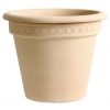 Vaso Camelia Graffiata ΠΗΛΙΝΕΣ ΓΛΑΣΤΡΕΣ Γεωπονικό Κέντρο Κήπου