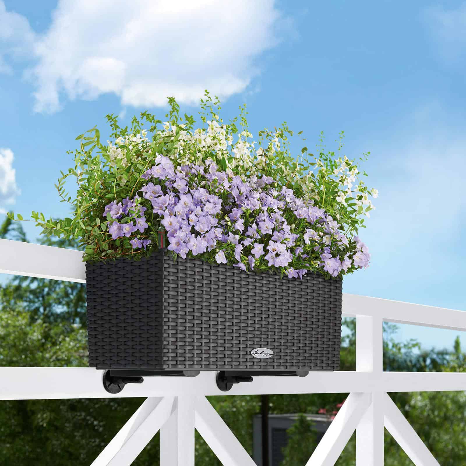 BALCONERA Cottage 50 - Image 9