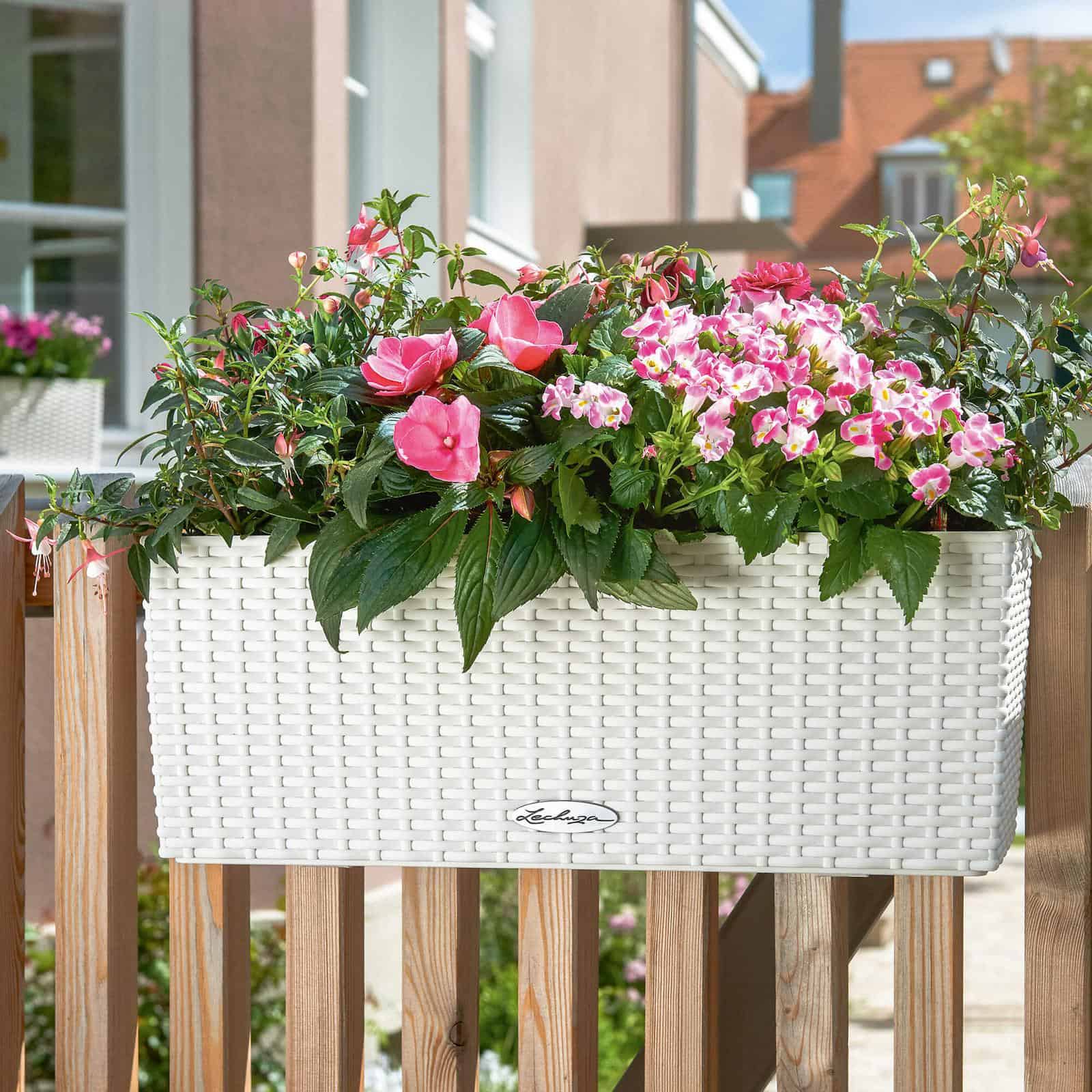 BALCONERA Cottage 50 - Image 10