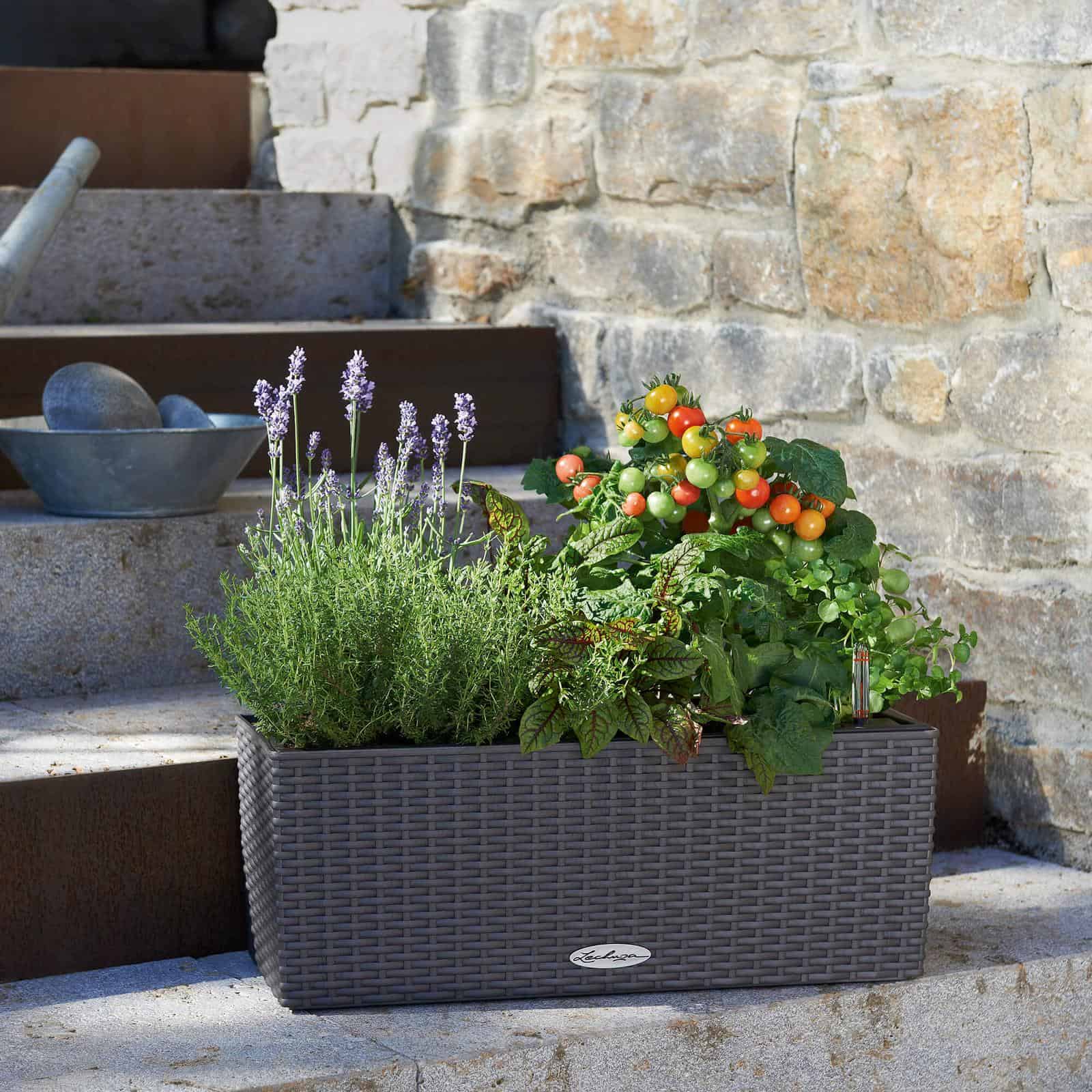 BALCONERA Cottage 50 - Image 11