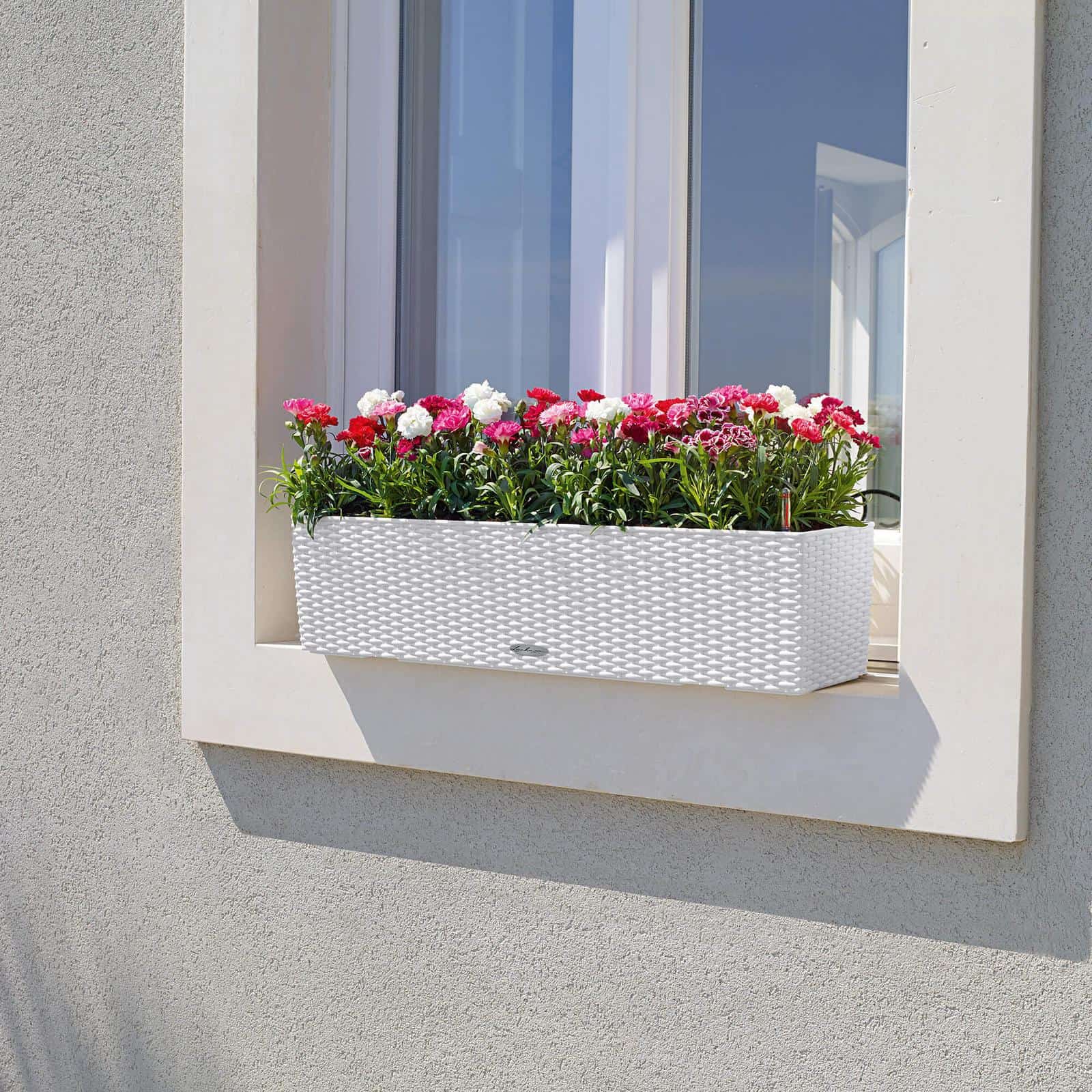 BALCONERA Cottage 80 - Image 8