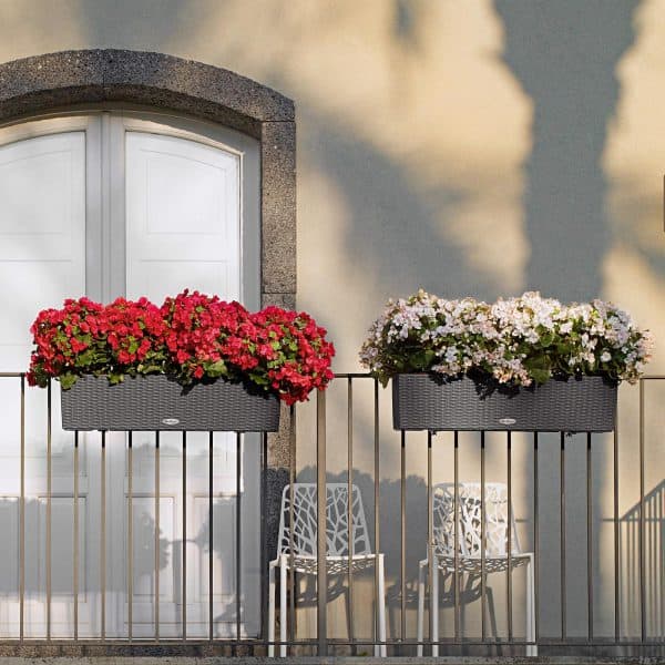 BALCONERA Cottage 80 Cottage Collection Γεωπονικό Κέντρο Κήπου