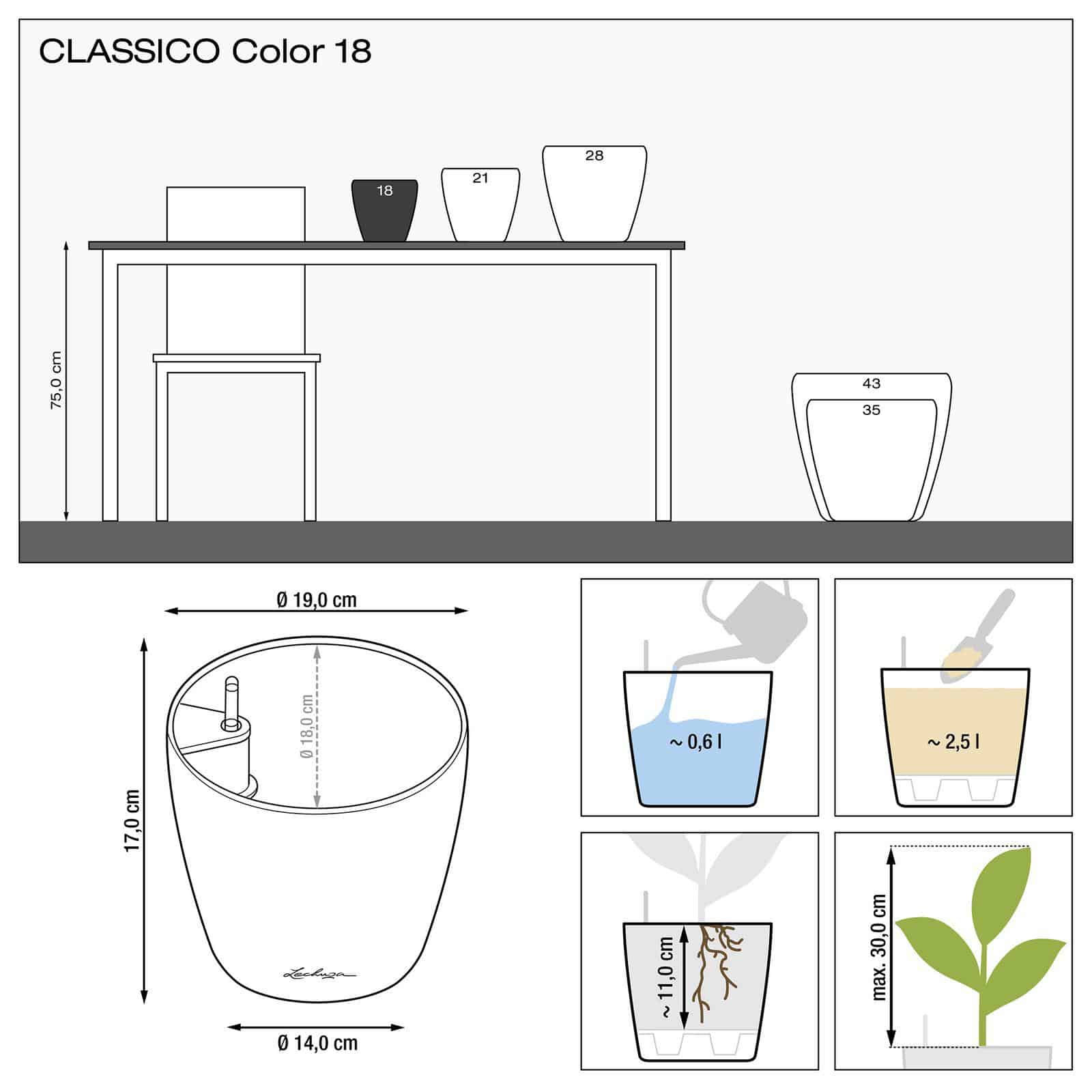 CLASSICO Color - Image 10