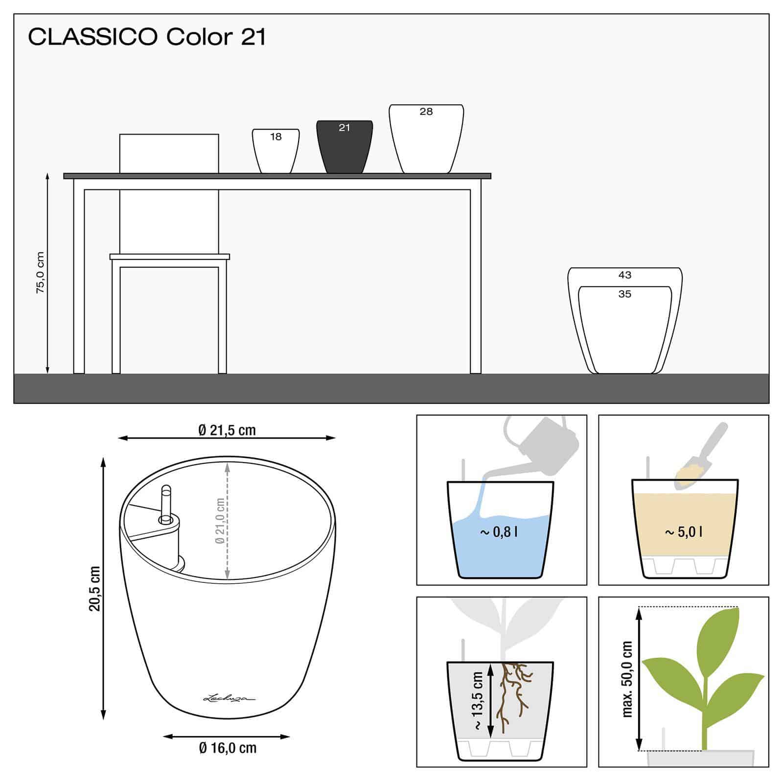 CLASSICO Color - Image 11