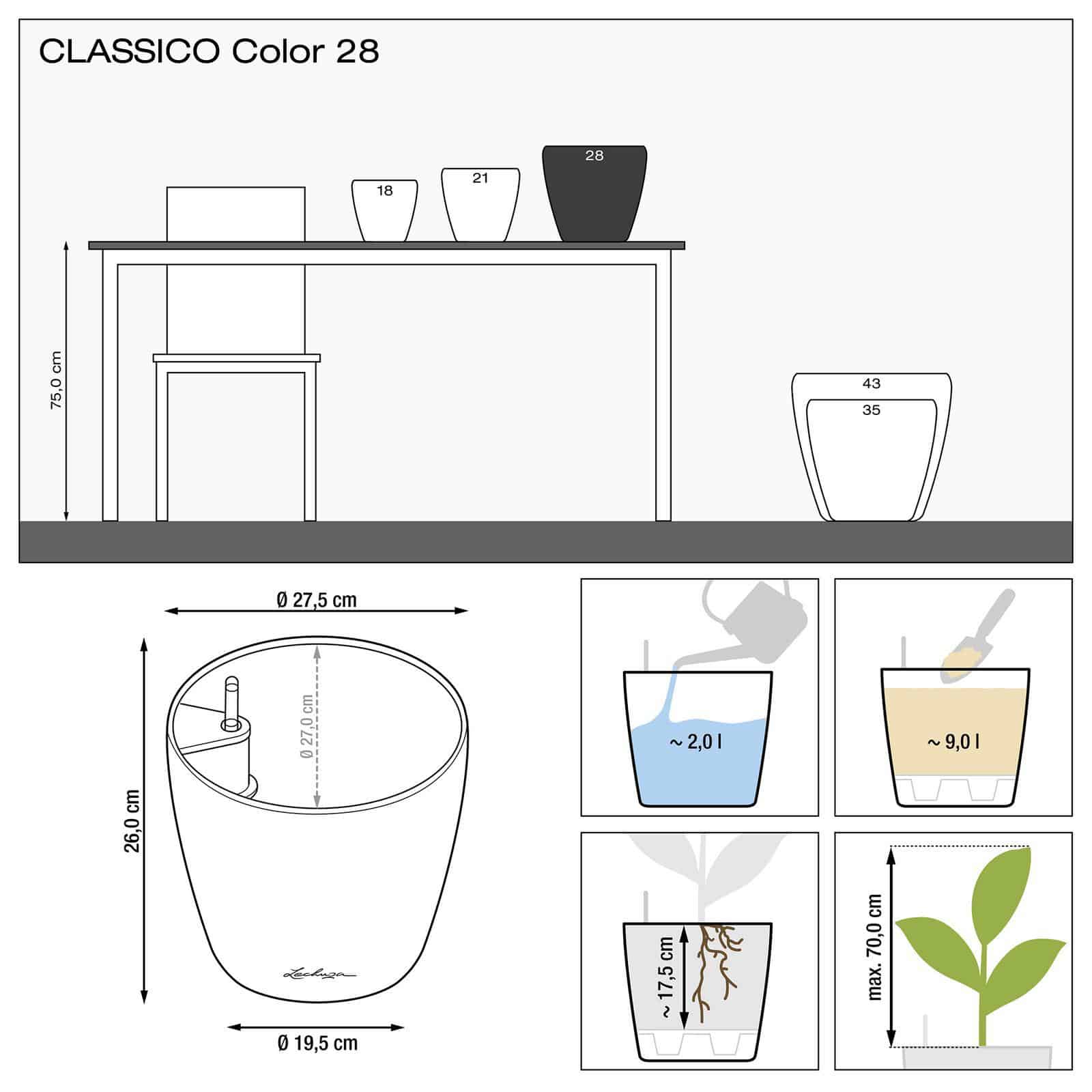 CLASSICO Color - Image 12