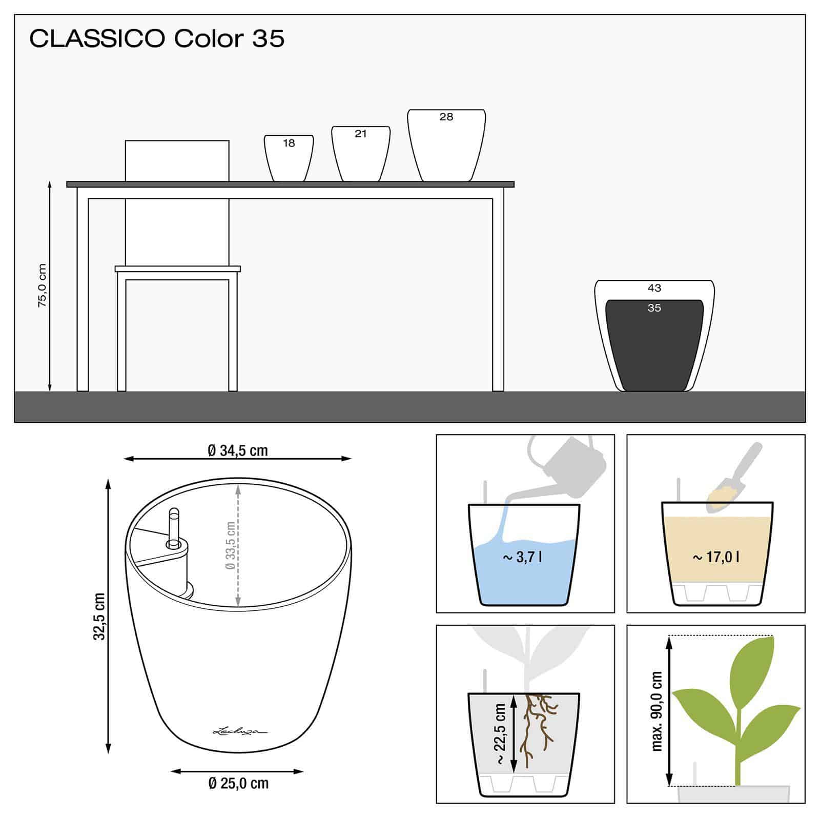 CLASSICO Color - Image 13