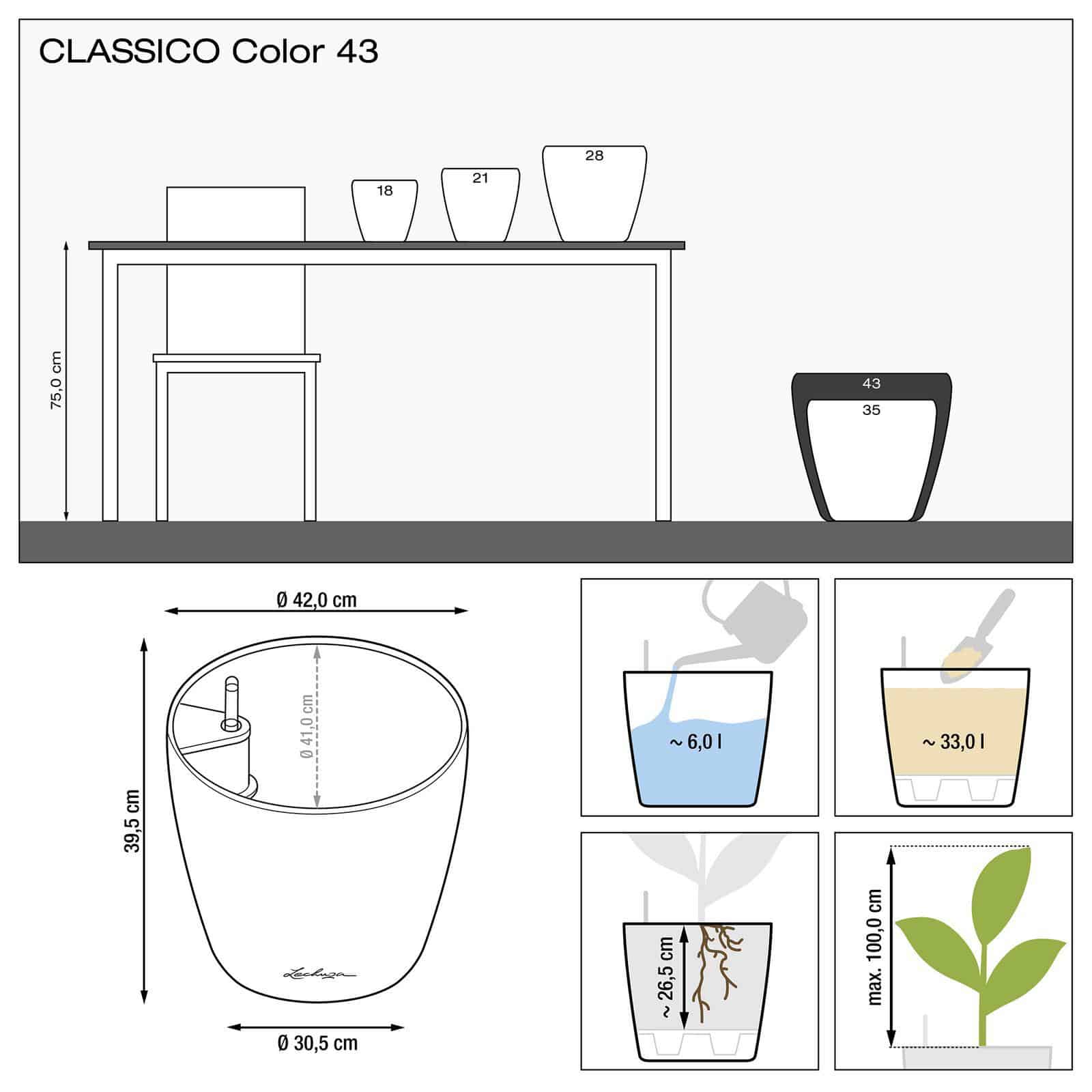 CLASSICO Color - Image 14