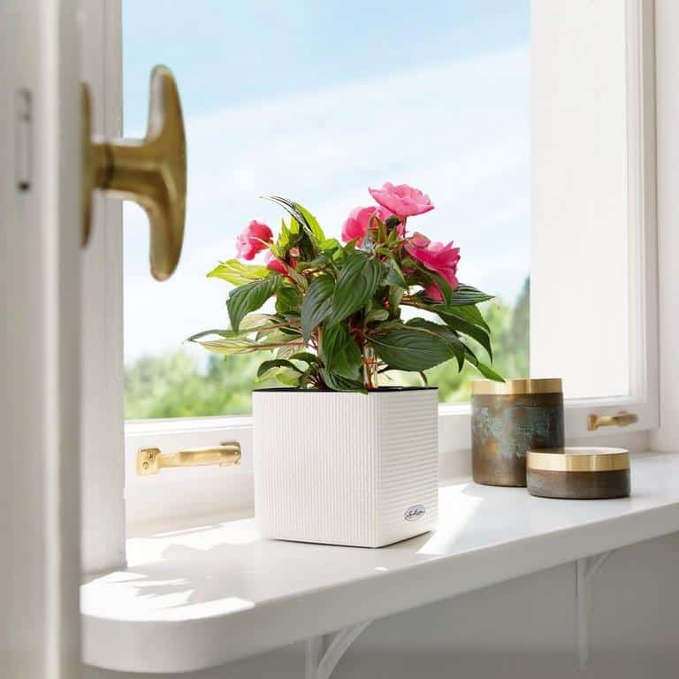 CUBE Color 16 - Image 9