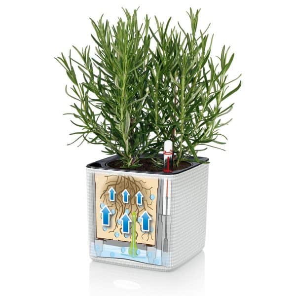 CUBE Color 14 ΕΠΙΤΡΑΠΕΖΙΕΣ ΓΛΑΣΤΡΕΣ Γεωπονικό Κέντρο Κήπου