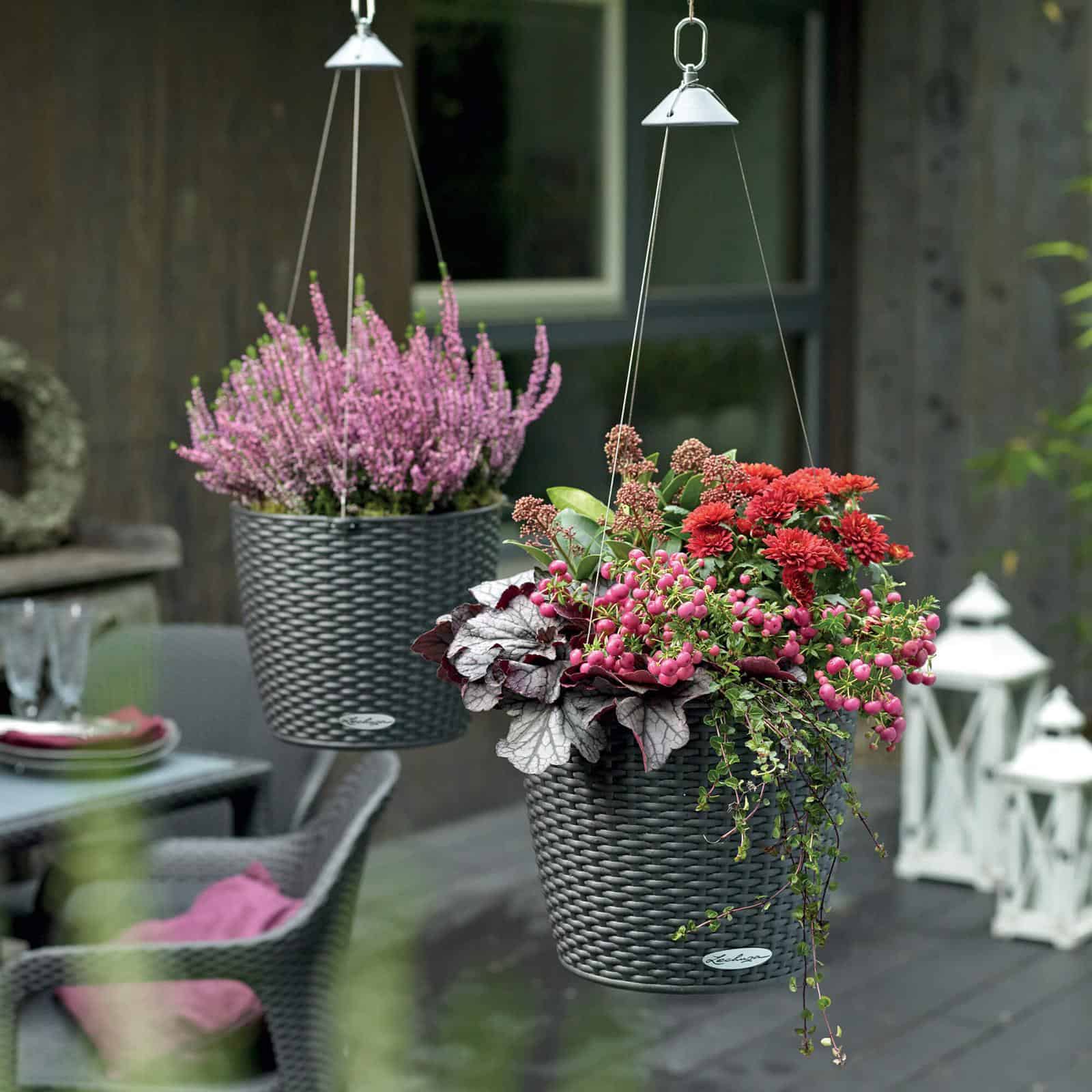 NIDO Cottage - Image 4