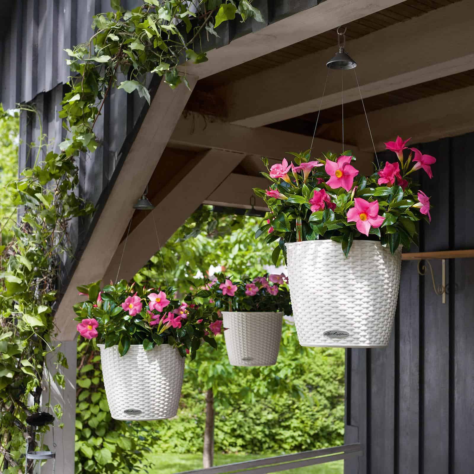 NIDO Cottage - Image 6