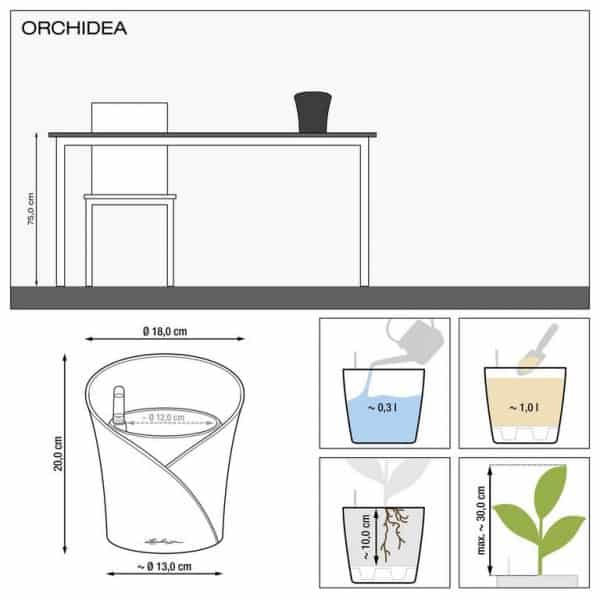 ORCHIDEA ΕΠΙΤΡΑΠΕΖΙΕΣ ΓΛΑΣΤΡΕΣ Γεωπονικό Κέντρο Κήπου