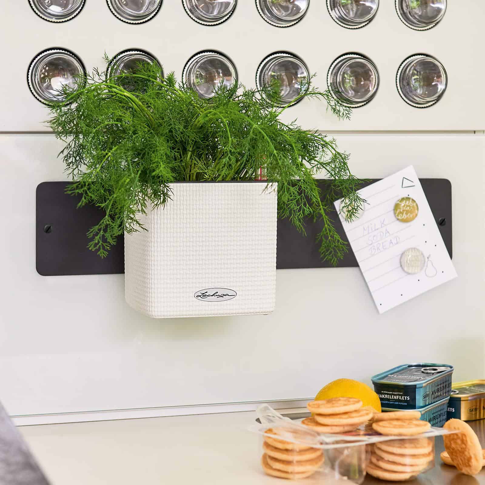 Green Wall Home Kit Color - Image 6