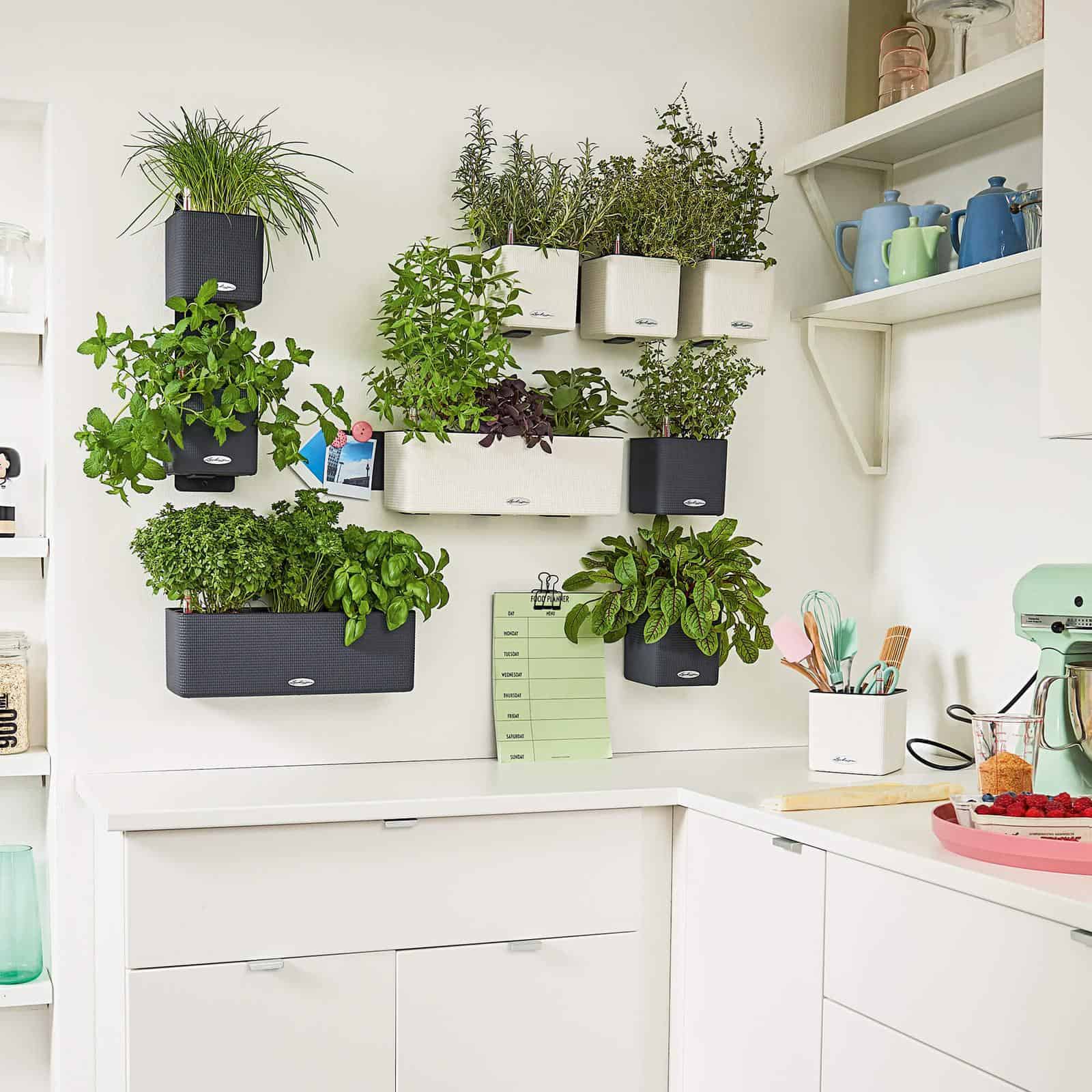 Green Wall Home Kit Color - Image 7