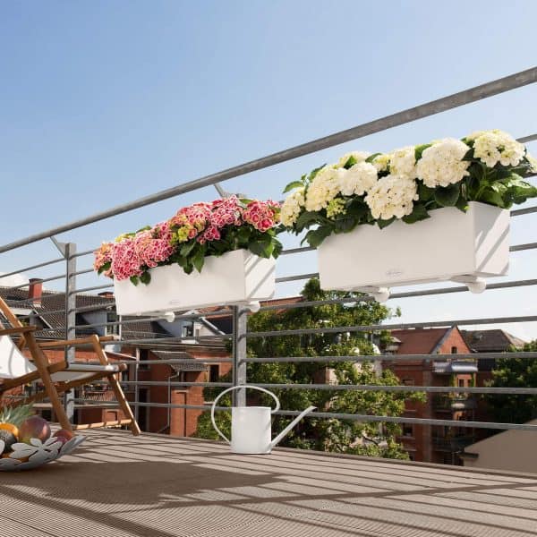 BALCONERA Color 100 Color Collection Γεωπονικό Κέντρο Κήπου