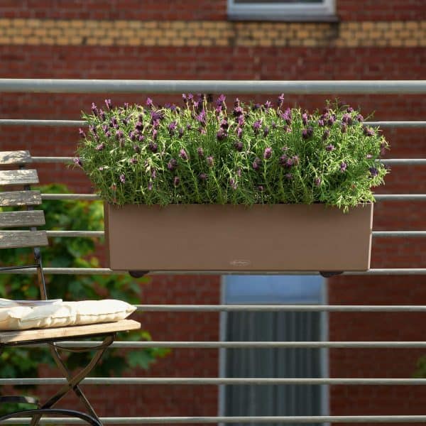 BALCONERA Color 100 Color Collection Γεωπονικό Κέντρο Κήπου