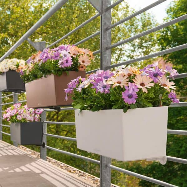 BALCONERA Color 100 Color Collection Γεωπονικό Κέντρο Κήπου