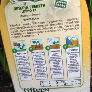 ΠΙΠΕΡΙΑ ΓΕΜΙΣΤΗ OSHO HYBRID F1 ΚΗΠΕΥΤΙΚΑ ΥΒΡΙΔΙΑ Γεωπονικό Κέντρο Κήπου