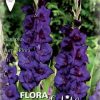 Γλαδιόλα Purple Flora 785481 ΒΟΛΒΟΙ ΛΟΥΛΟΥΔΙΩΝ ΑΝΟΙΞΙΑΤΙΚΗΣ ΦΥΤΕΥΣΗΣ Γεωπονικό Κέντρο Κήπου