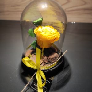 Forever Rose Μονό σε Γυάλα FOREVER ROSES Γεωπονικό Κέντρο Κήπου