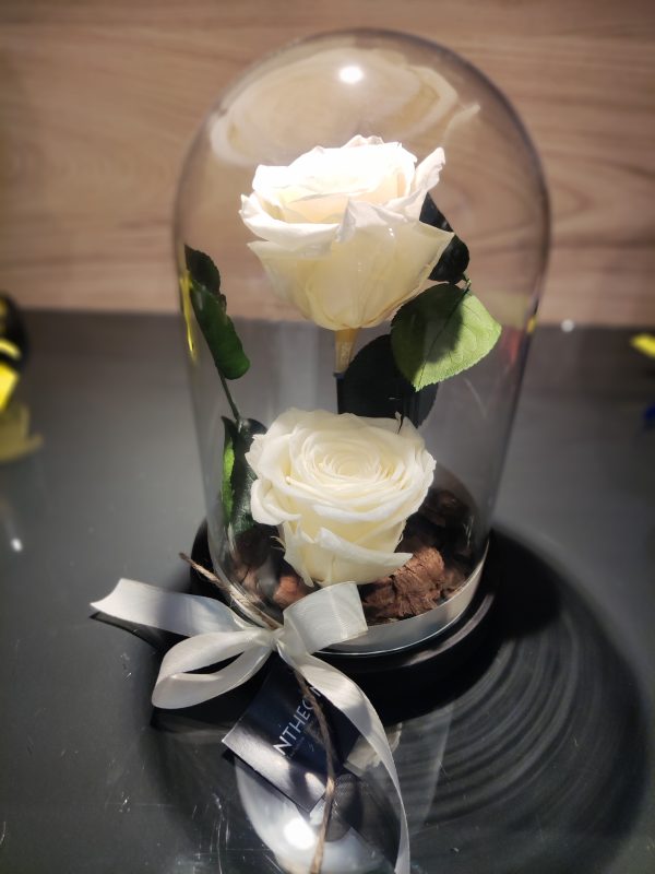 Forever Rose Διπλό σε Γυάλα FOREVER ROSES Γεωπονικό Κέντρο Κήπου