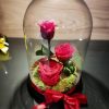 Forever Rose Διπλό σε Γυάλα FOREVER ROSES Γεωπονικό Κέντρο Κήπου