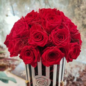FOREVER ROSES