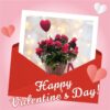 Αζαλέα σε κασπώ Valentine's Day Γεωπονικό Κέντρο Κήπου