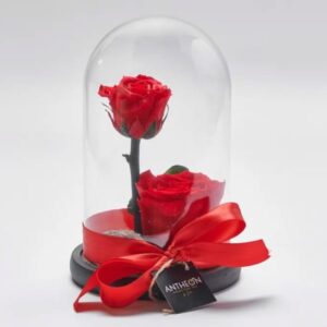 Forever Rose Μέσα σε Γυάλα Διπλό Valentine's Day Γεωπονικό Κέντρο Κήπου