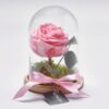 Forever Rose Μέσα σε Γυάλα Μονό Valentine's Day Γεωπονικό Κέντρο Κήπου