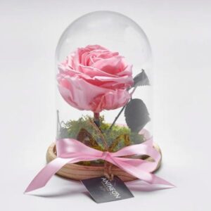 Forever Rose Μέσα σε Γυάλα Μονό Valentine's Day Γεωπονικό Κέντρο Κήπου