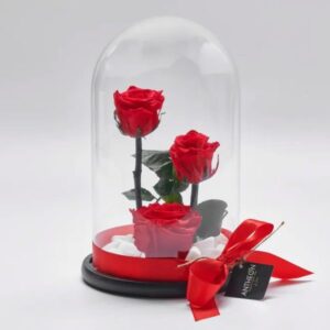 Forever Rose Μέσα σε Γυάλα Τριπλό Valentine's Day Γεωπονικό Κέντρο Κήπου