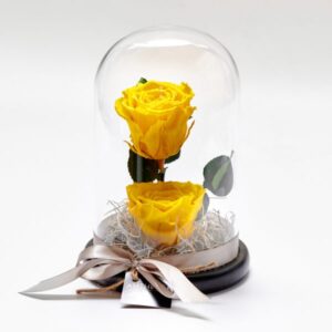 Forever Rose Μέσα σε Γυάλα Διπλό Valentine's Day Γεωπονικό Κέντρο Κήπου