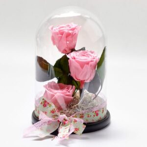 Forever Rose Μέσα σε Γυάλα Τριπλό Valentine's Day Γεωπονικό Κέντρο Κήπου